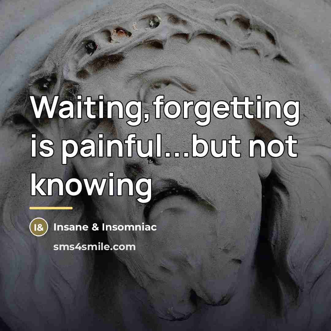 “Waiting,forgetting is painful...but not knowing…” quote by Insane & Insomniac