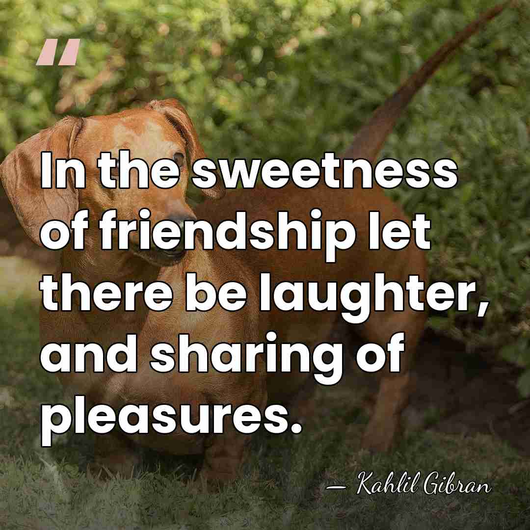 In the sweetness of friendship let there be laughter, and sharing of&hellip; - Kahlil Gibran