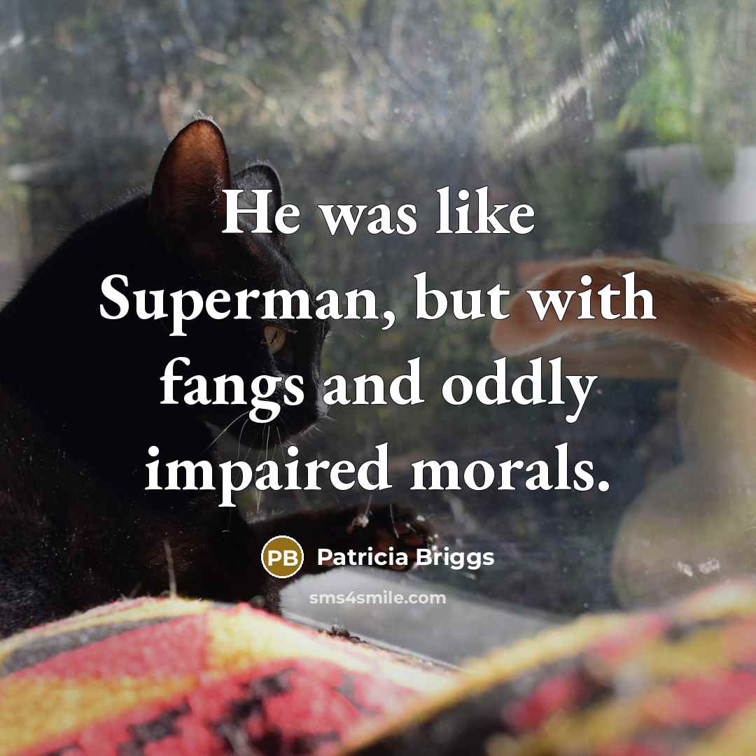 “He was like Superman, but with fangs and oddly impaired…” quote by Patricia Briggs