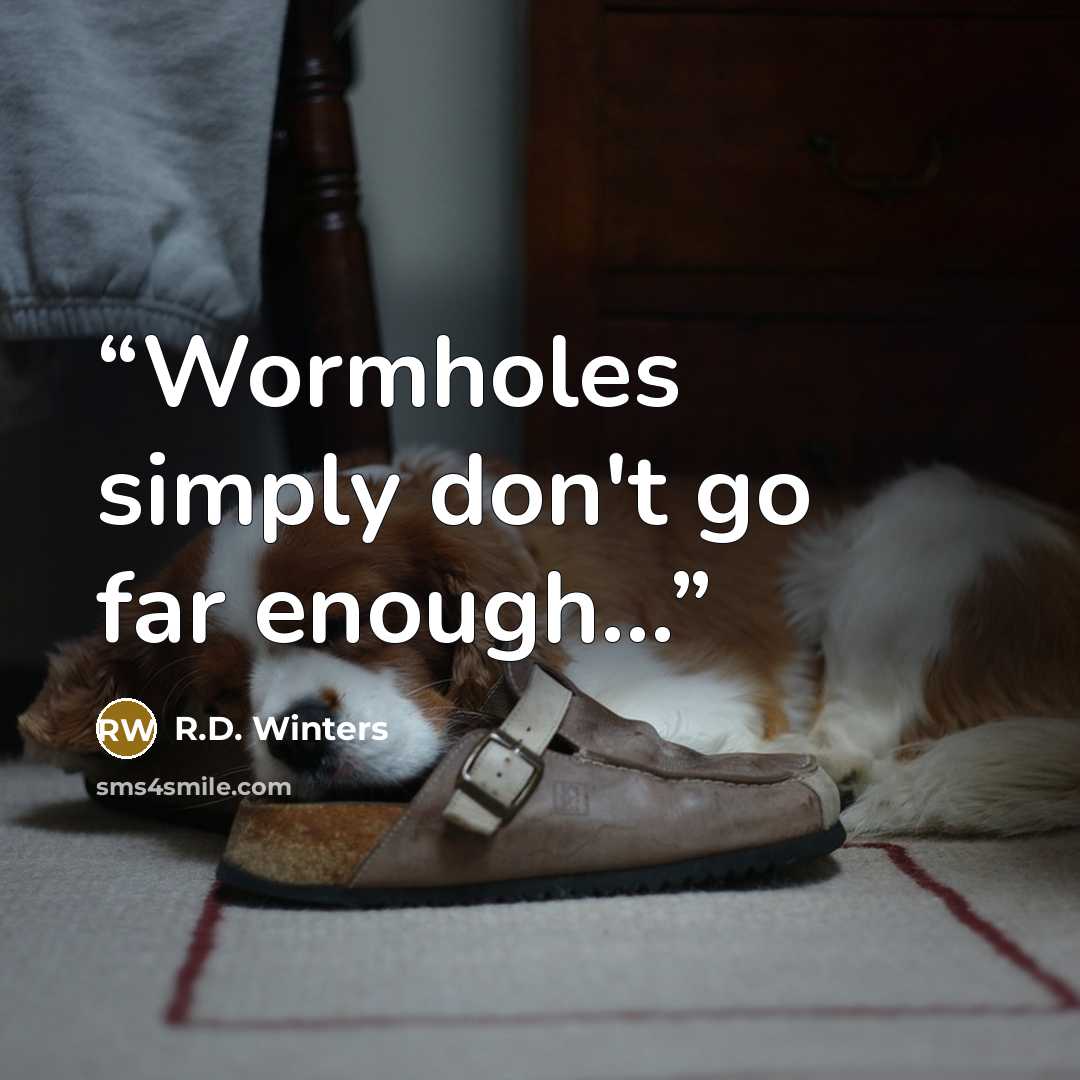 “Wormholes simply don't go far enough...” quote by R.D. Winters