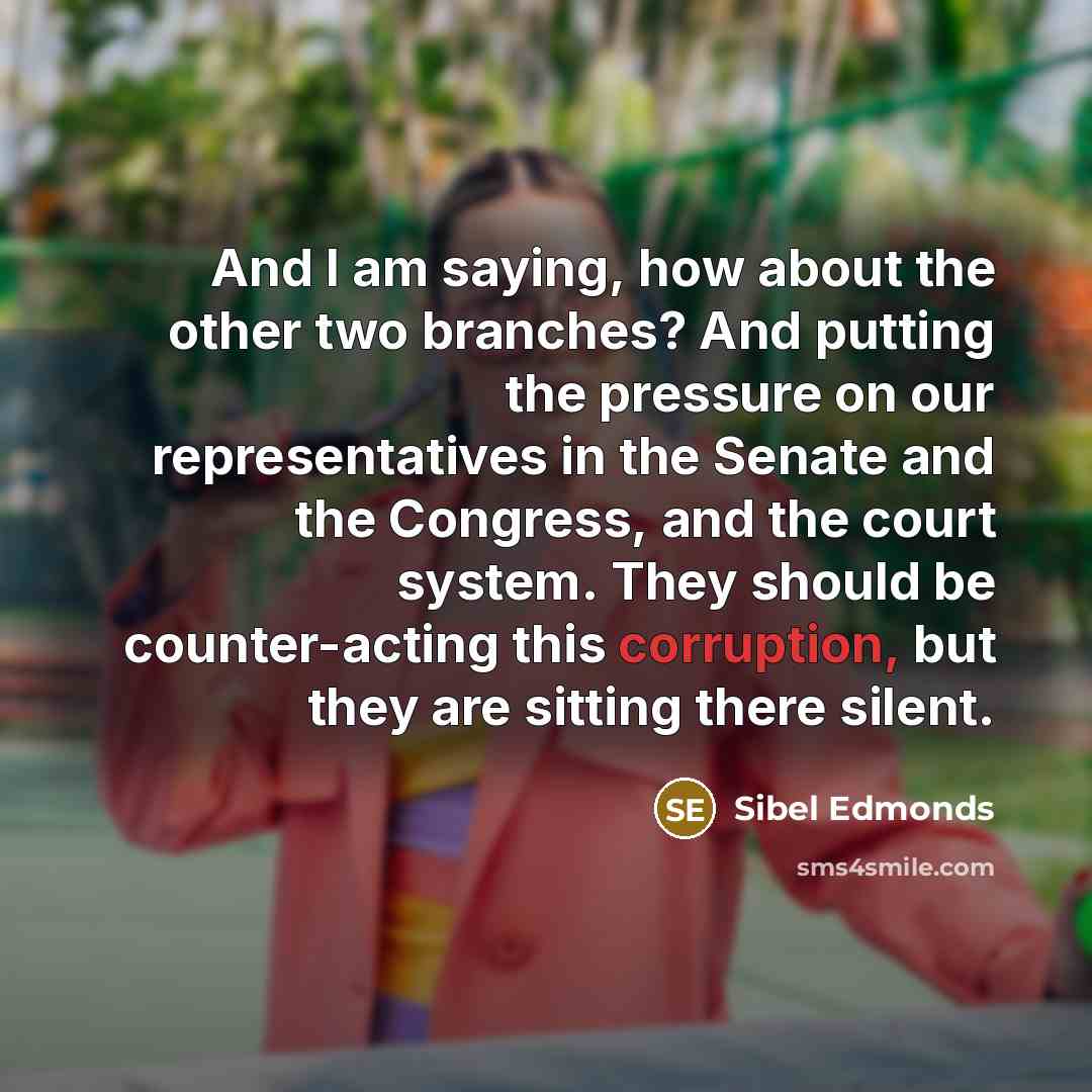 “And I am saying, how about the other two branches?…” quote by Sibel Edmonds