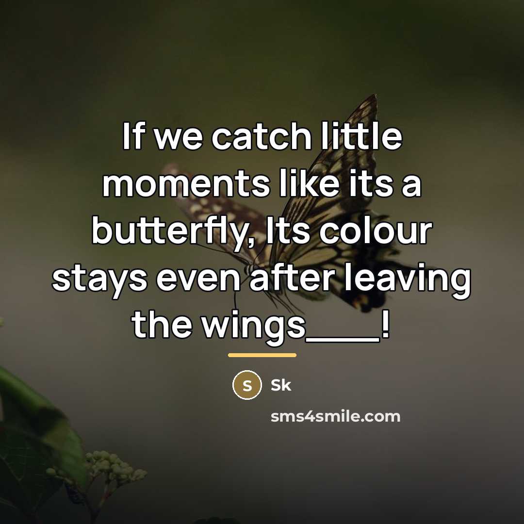 “If we catch little moments like its a butterfly, Its…” quote by SK
