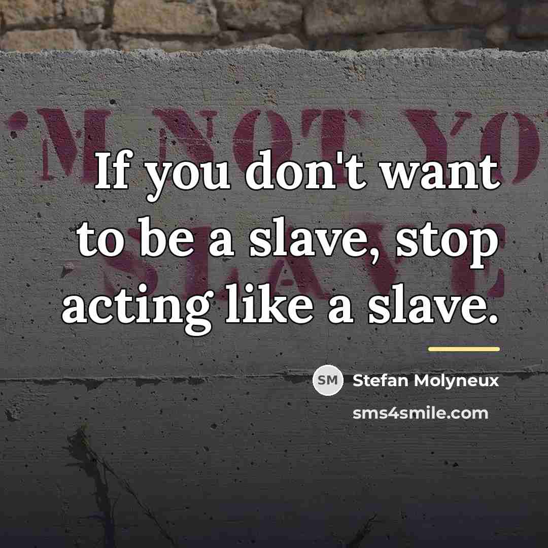 “If you don't want to be a slave, stop acting…” quote by Stefan Molyneux