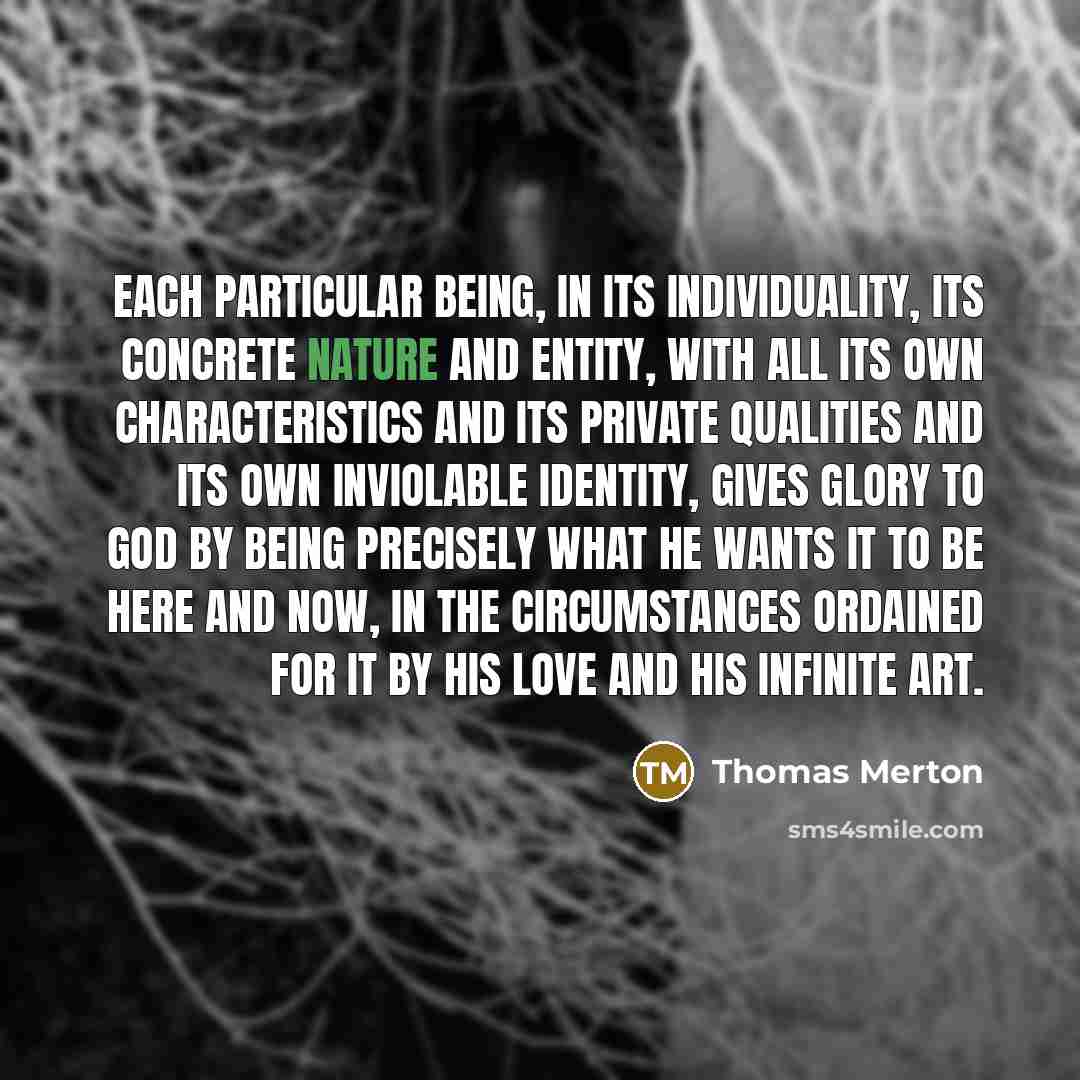 “Each particular being, in its individuality, its concrete nature and…” quote by Thomas Merton