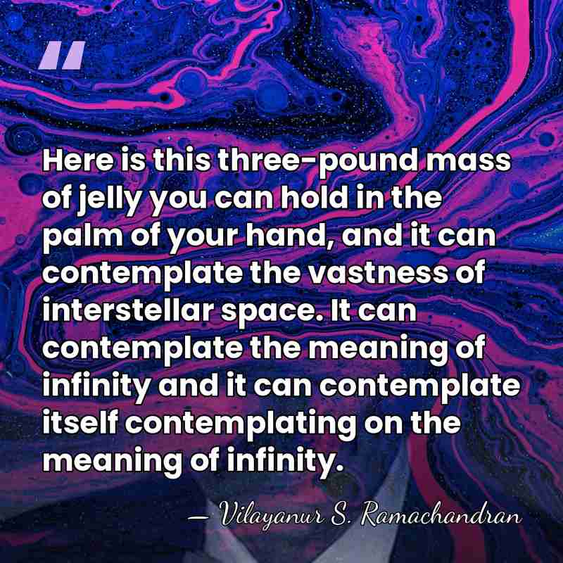 Here is this three-pound mass of jelly you can hold in the&hellip; - Vilayanur S. Ramachandran