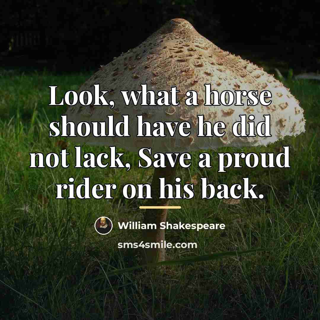 “Look, what a horse should have he did not lack,…” quote by William Shakespeare