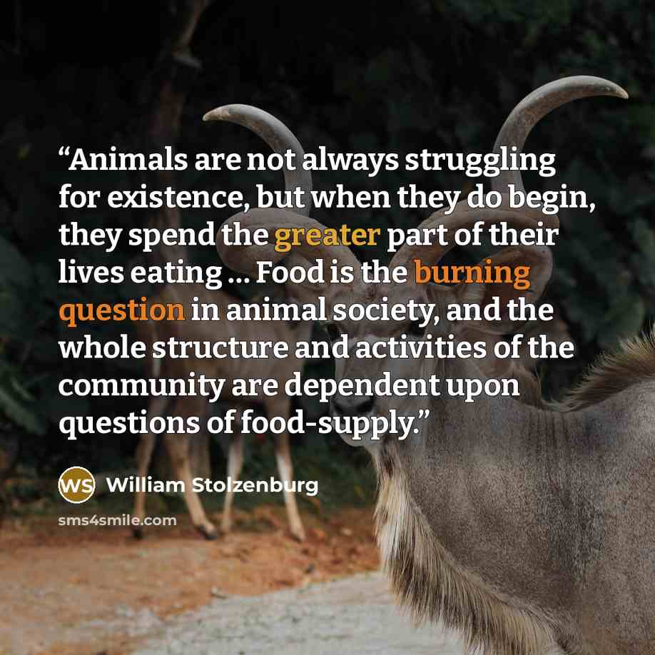 “Animals are not always struggling for existence, but when they do begin, they spend the greater part of their lives eating … Food is the burning question in animal society, and the whole structure and activities of the community are dependent upon questions of food-supply.” quote by William Stolzenburg