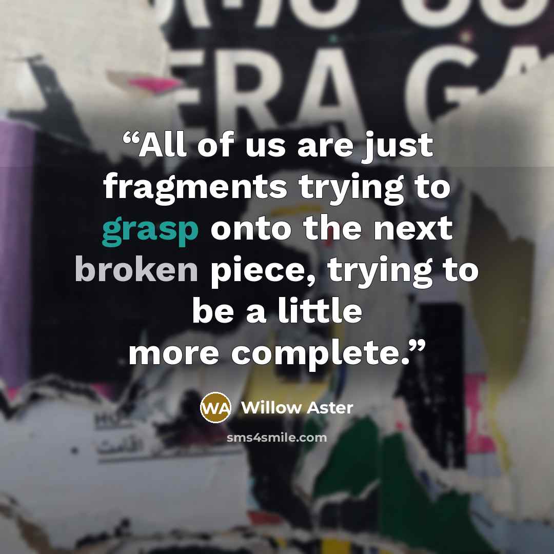“All of us are just fragments trying to grasp onto the next broken piece, trying to be a little more complete.” quote by Willow Aster