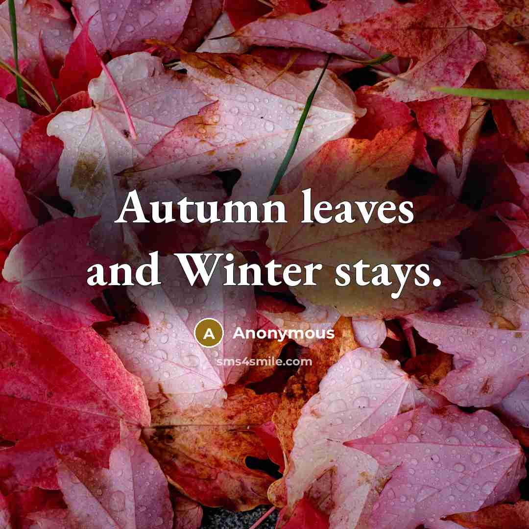 “Autumn leaves and Winter stays.…” quote by Anonymous