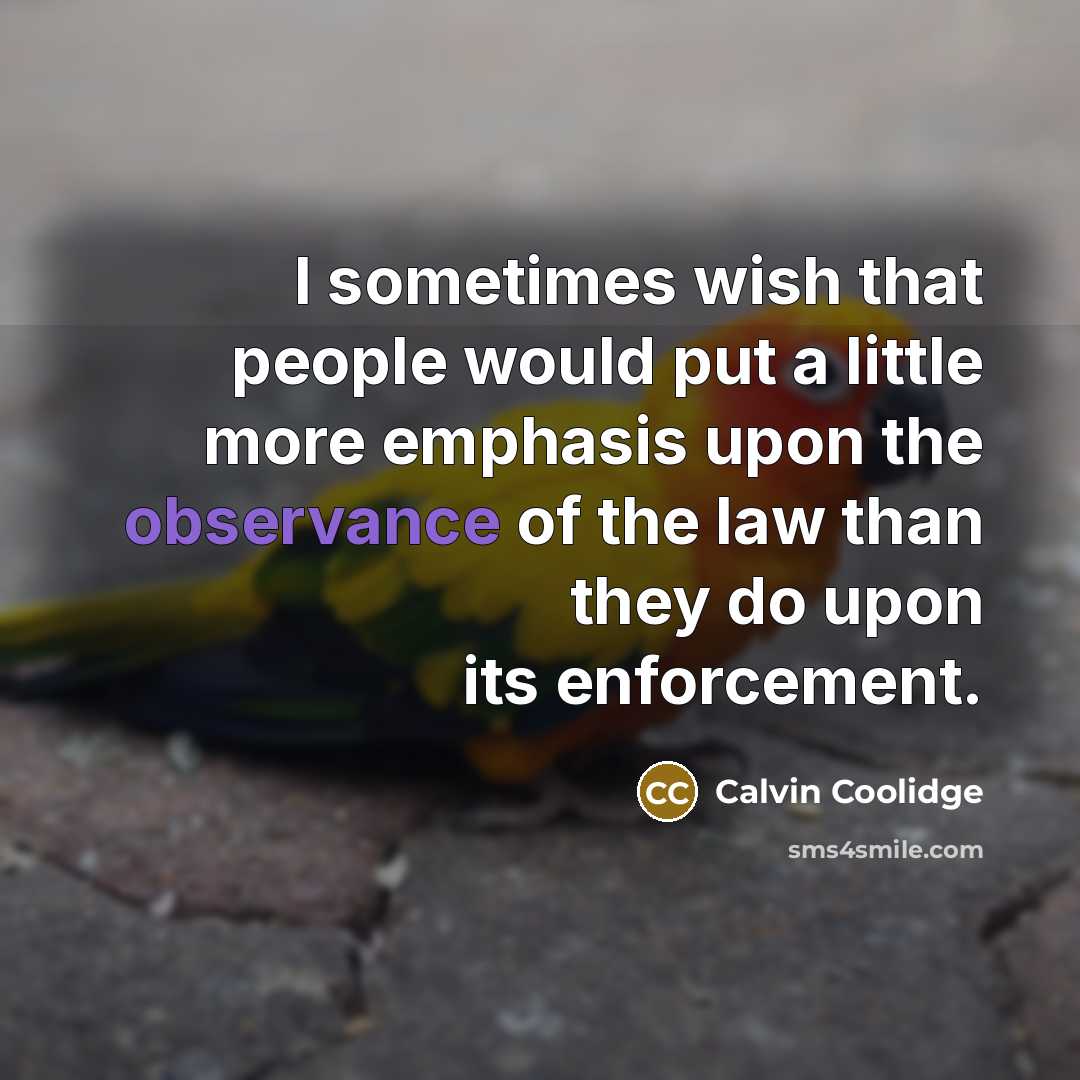 “I sometimes wish that people would put a little more…” quote by Calvin Coolidge