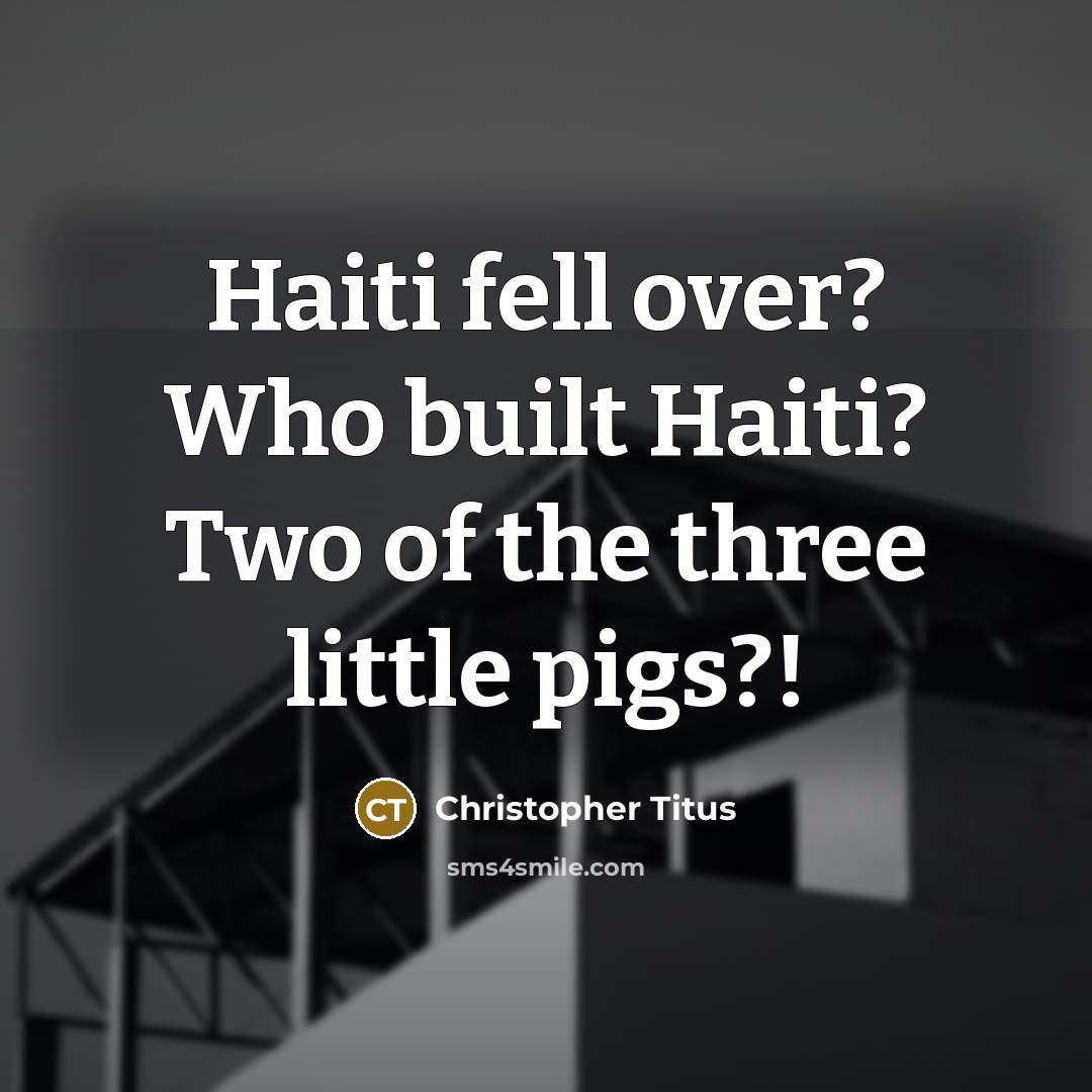“Haiti fell over? Who built Haiti? Two of the three…” quote by Christopher Titus