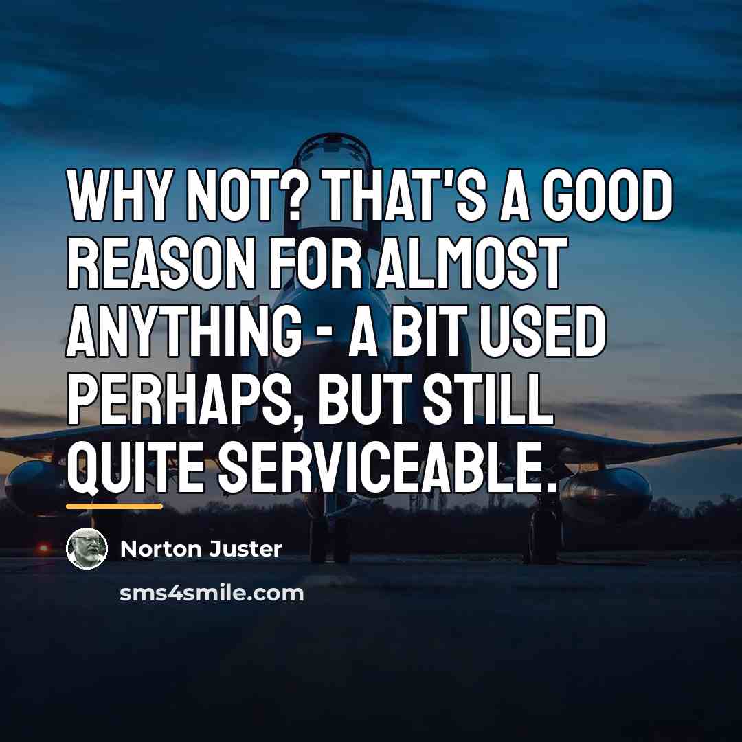 “Why not? That's a good reason for almost anything -…” quote by Norton Juster