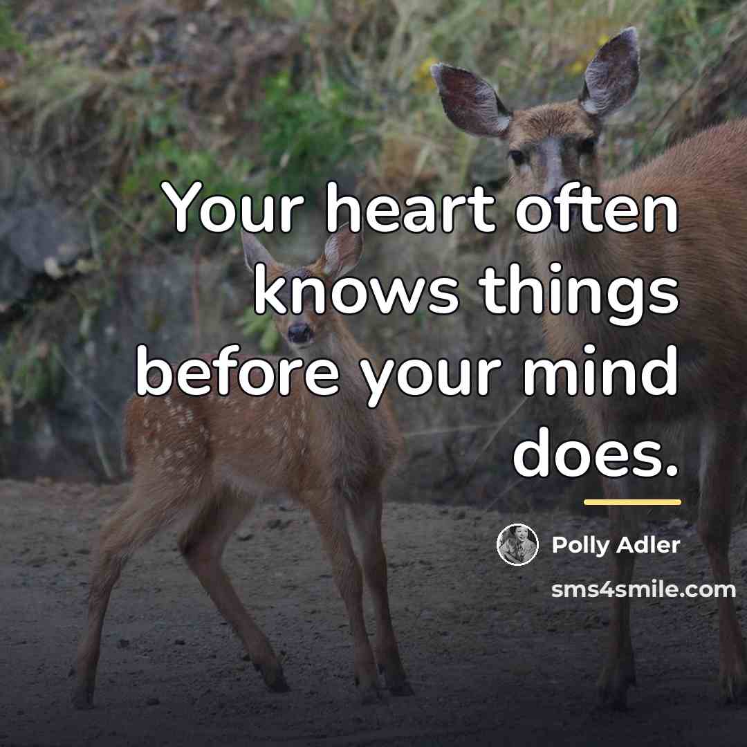“Your heart often knows things before your mind does.…” quote by Polly Adler