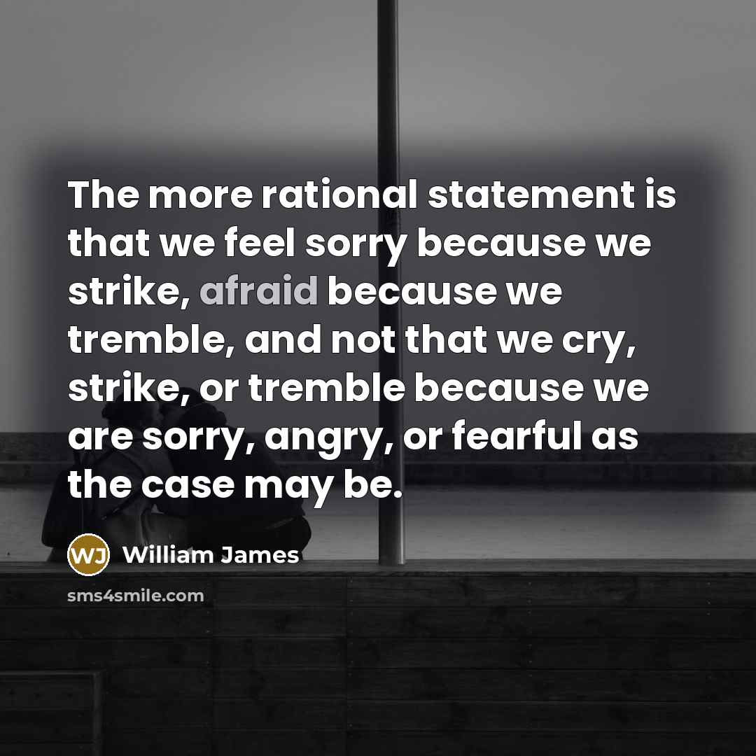 “The more rational statement is that we feel sorry because…” quote by William James
