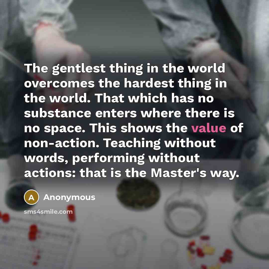 “The gentlest thing in the world overcomes the hardest thing…” quote by Anonymous