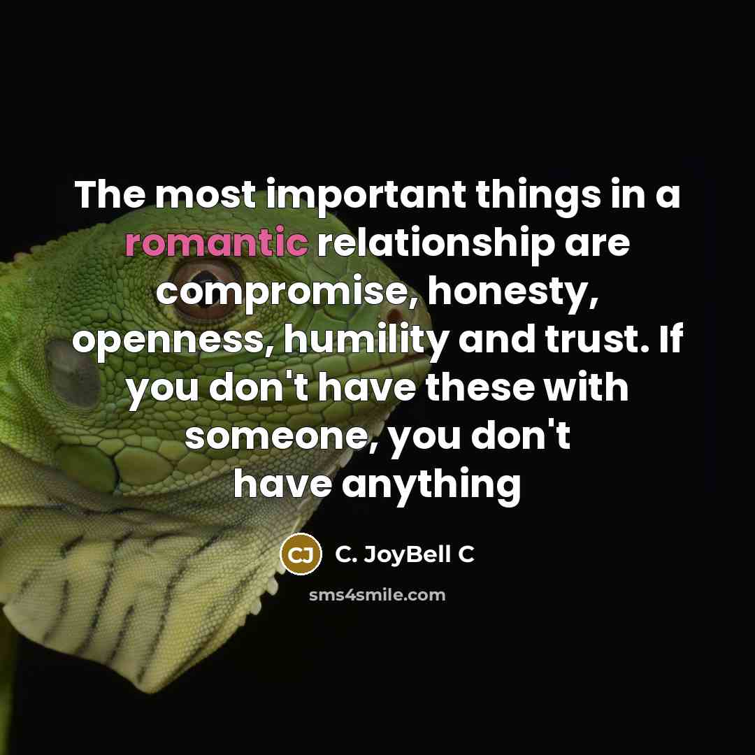 “The most important things in a romantic relationship are compromise,…” quote by C. JoyBell C