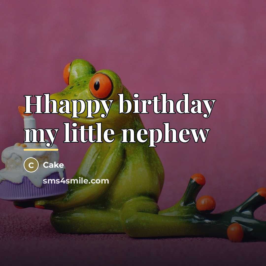 “Hhappy birthday my little nephew…” quote by Cake