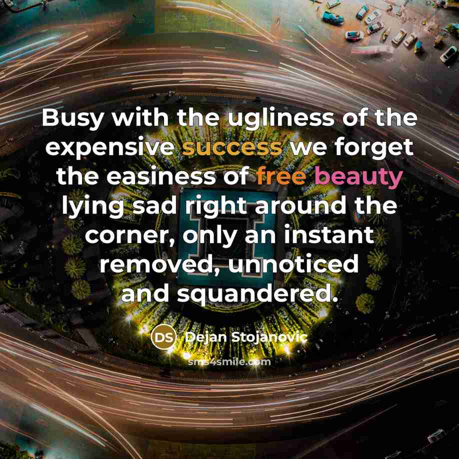 “Busy with the ugliness of the expensive success we forget…” quote by Dejan Stojanovic