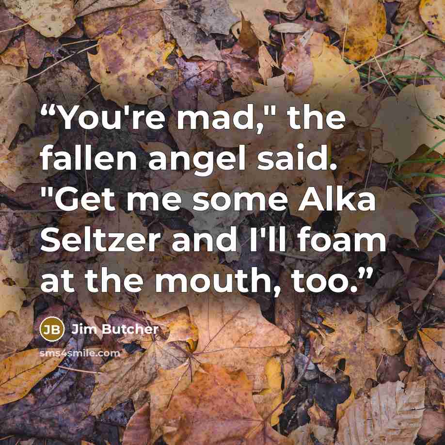 “You're mad," the fallen angel said. "Get me some Alka Seltzer and I'll foam at the mouth, too.” quote by Jim Butcher
