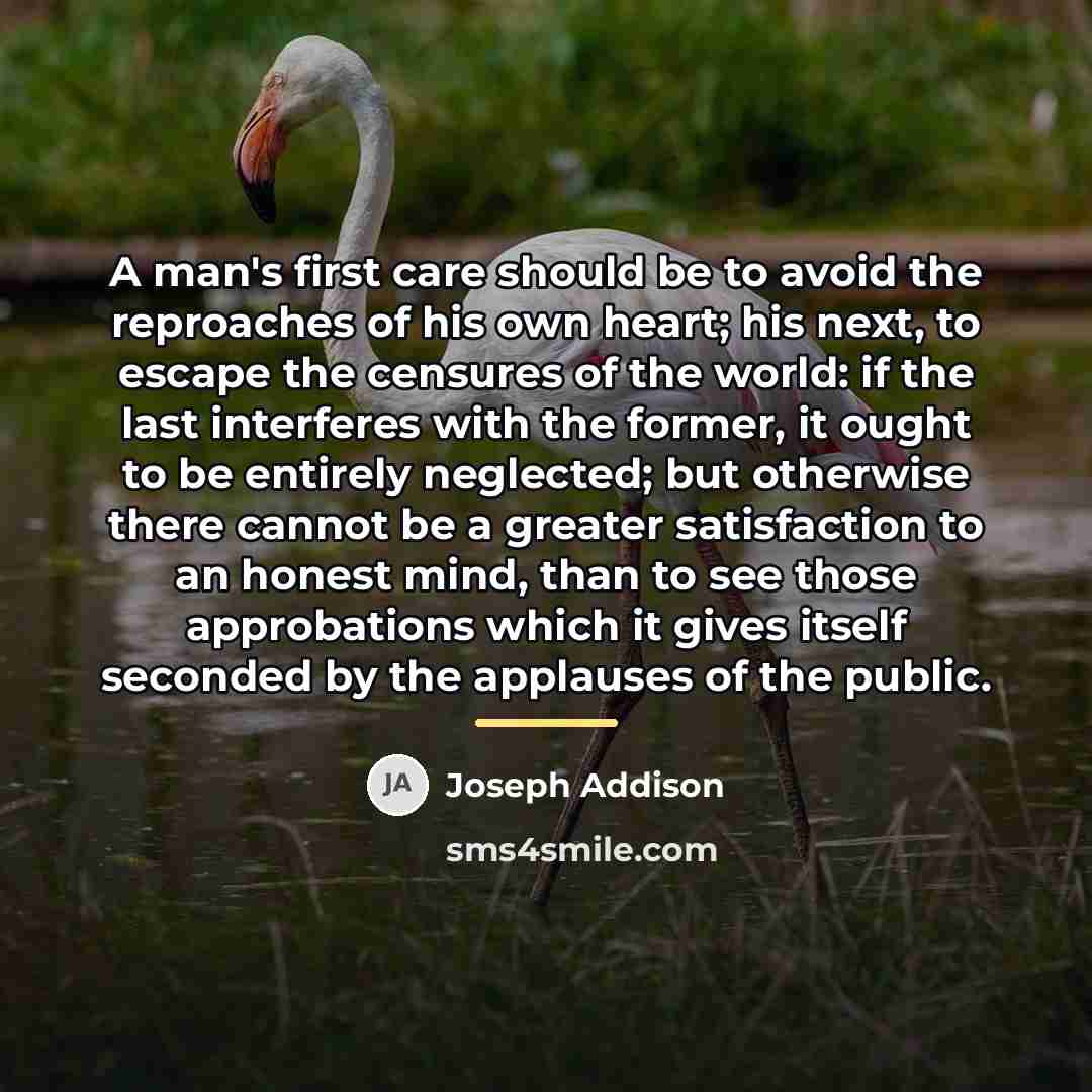 “A man's first care should be to avoid the reproaches…” quote by Joseph Addison