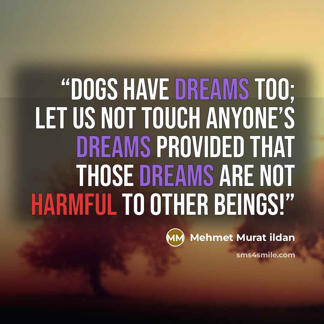 “Dogs have dreams too; let us not touch anyone’s dreams provided that those dreams are not harmful to other beings!” quote by Mehmet Murat ildan
