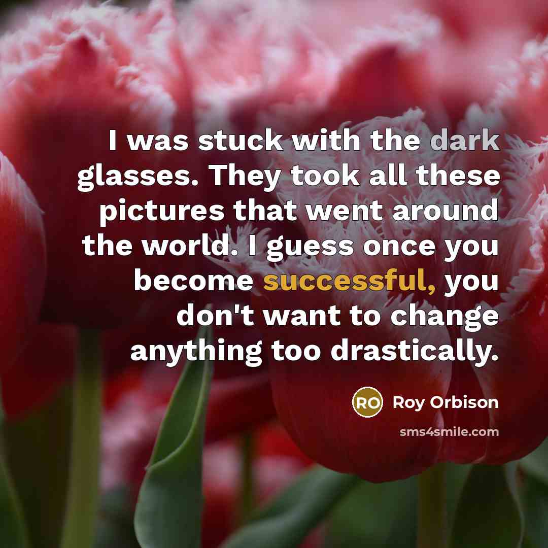 “I was stuck with the dark glasses. They took all…” quote by Roy Orbison