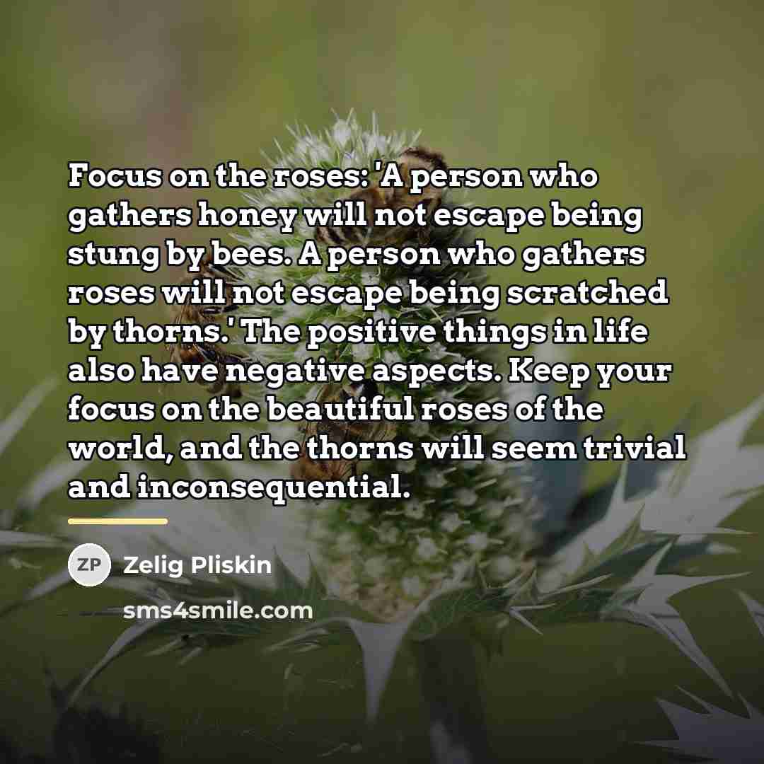 “Focus on the roses: 'A person who gathers honey will…” quote by Zelig Pliskin