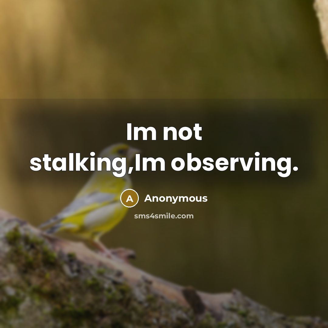 “Im not stalking,Im observing.…” quote by Anonymous