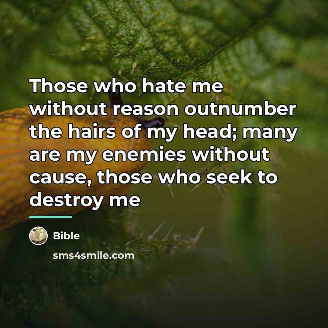 “Those who hate me without reason outnumber the hairs of…” quote by Bible