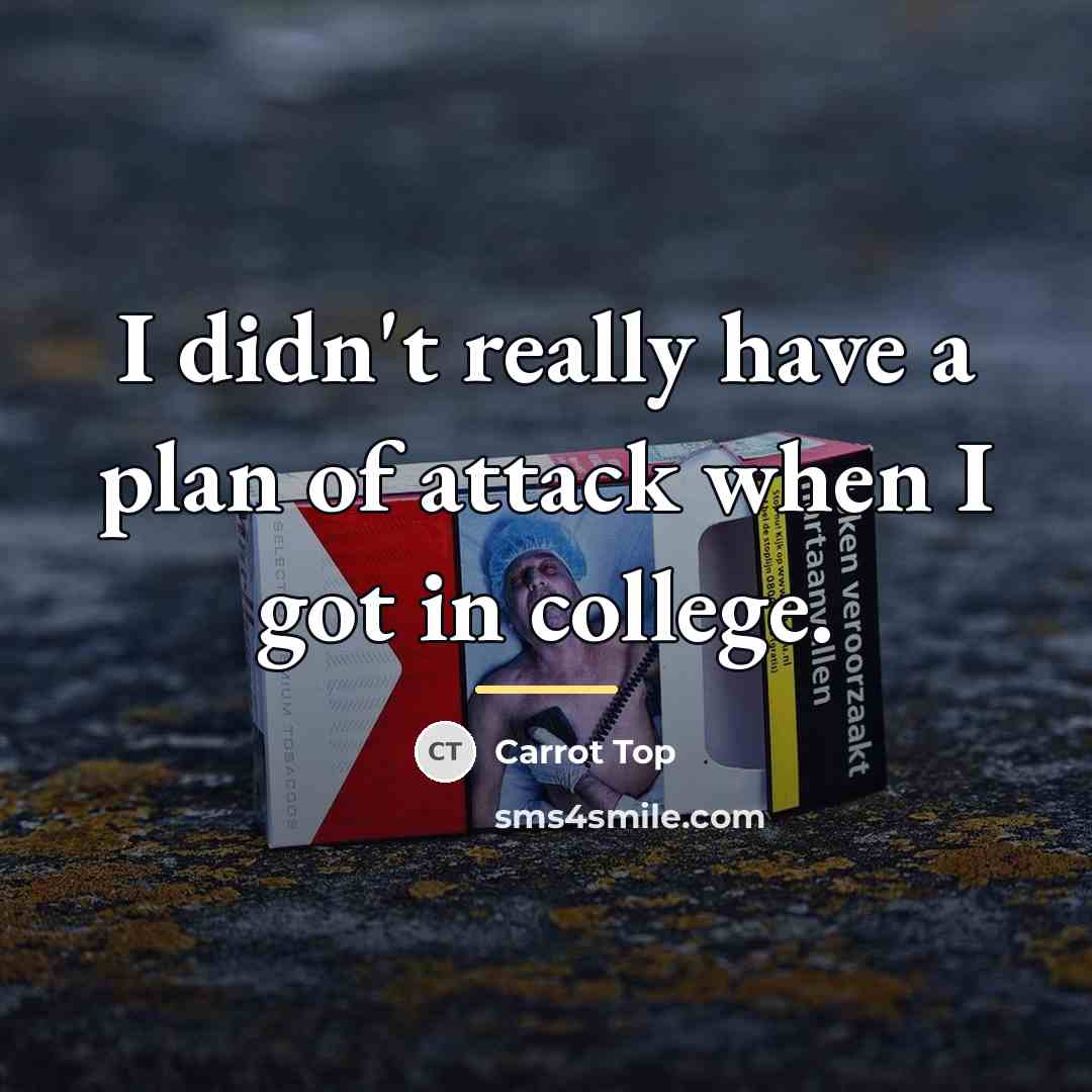 “I didn't really have a plan of attack when I…” quote by Carrot Top