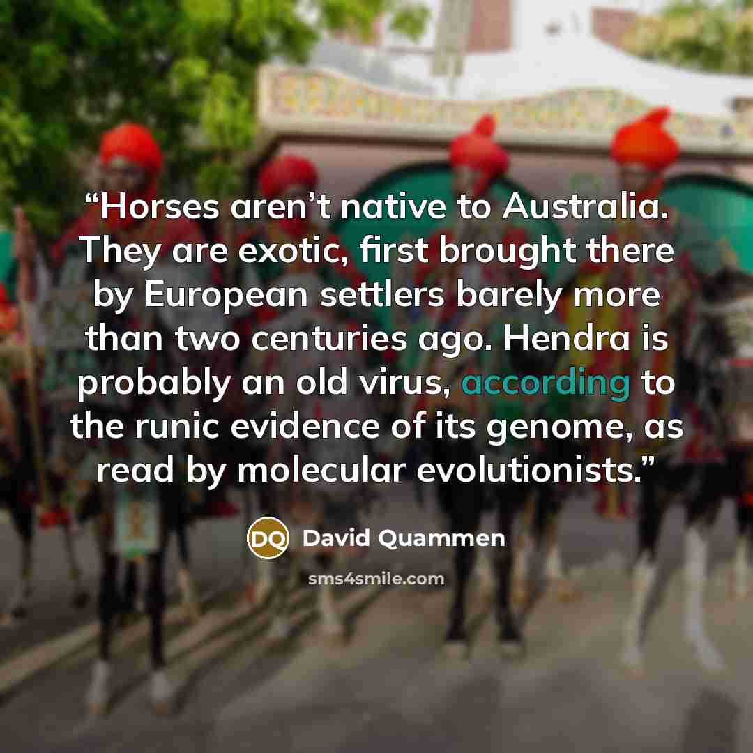 “Horses aren’t native to Australia. They are exotic, first brought there by European settlers barely more than two centuries ago. Hendra is probably an old virus, according to the runic evidence of its genome, as read by molecular evolutionists.” quote by David Quammen