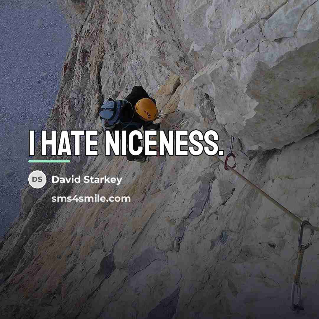 “I hate niceness.…” quote by David Starkey
