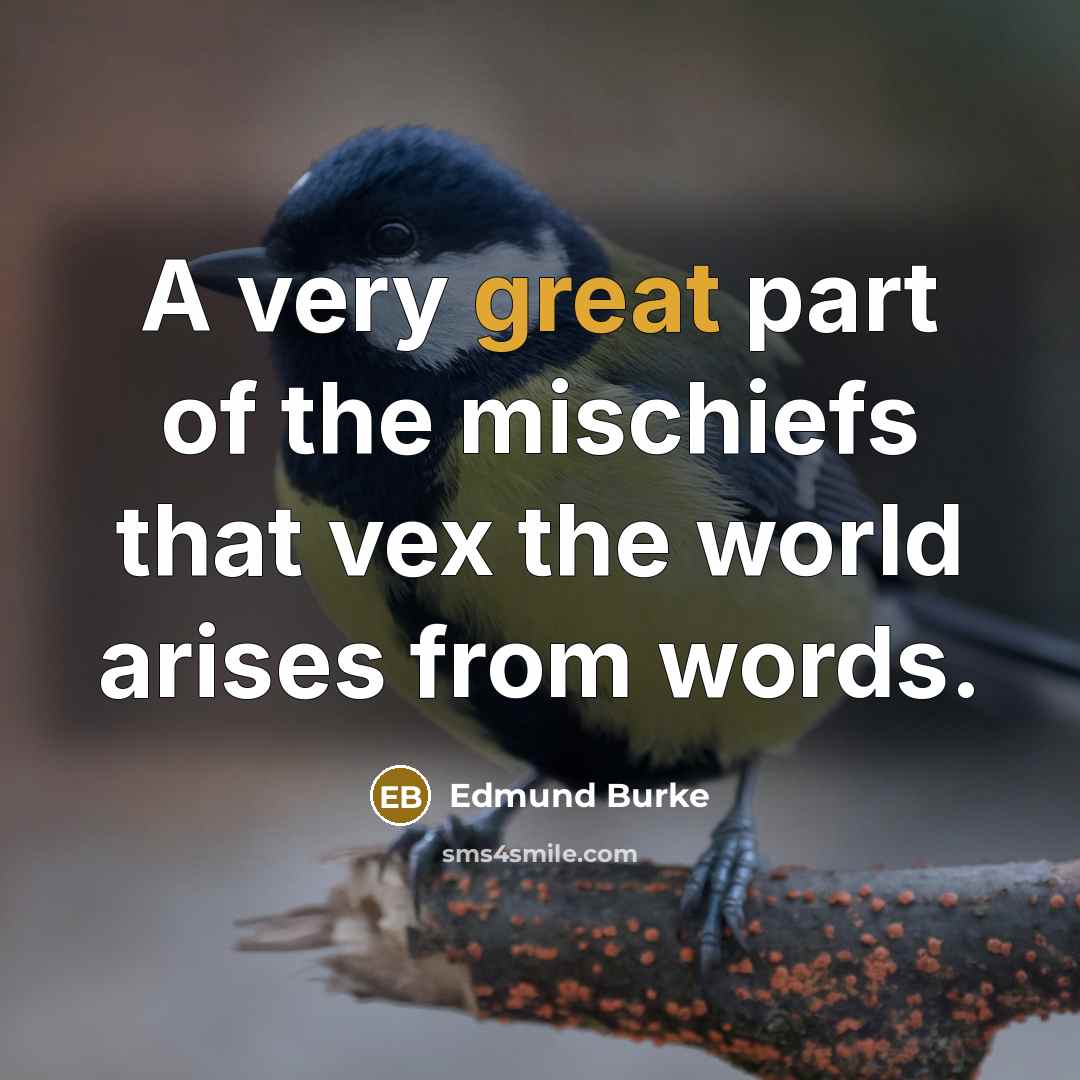 “A very great part of the mischiefs that vex the…” quote by Edmund Burke