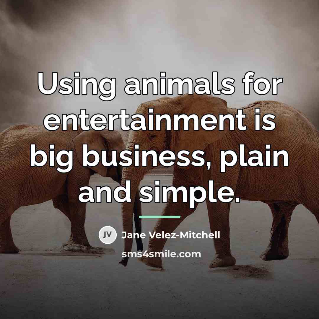 “Using animals for entertainment is big business, plain and simple.…” quote by Jane Velez-Mitchell