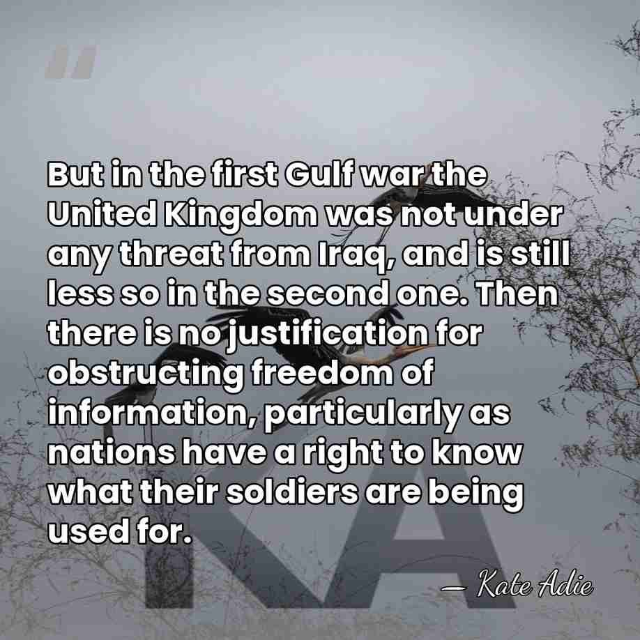 But in the first Gulf war the United Kingdom was not under&hellip; - Kate Adie