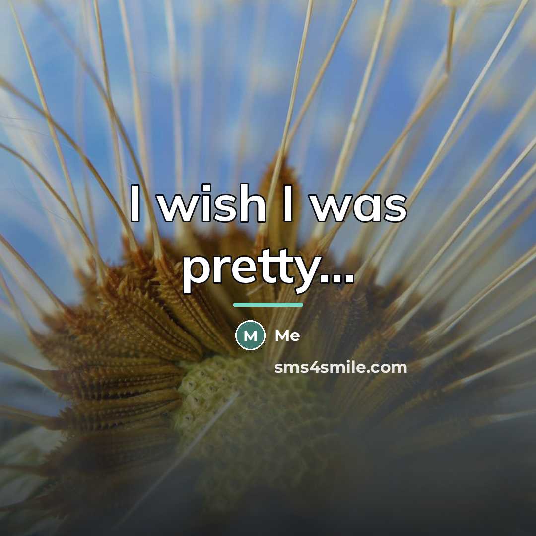 “I wish I was pretty...…” quote by Me