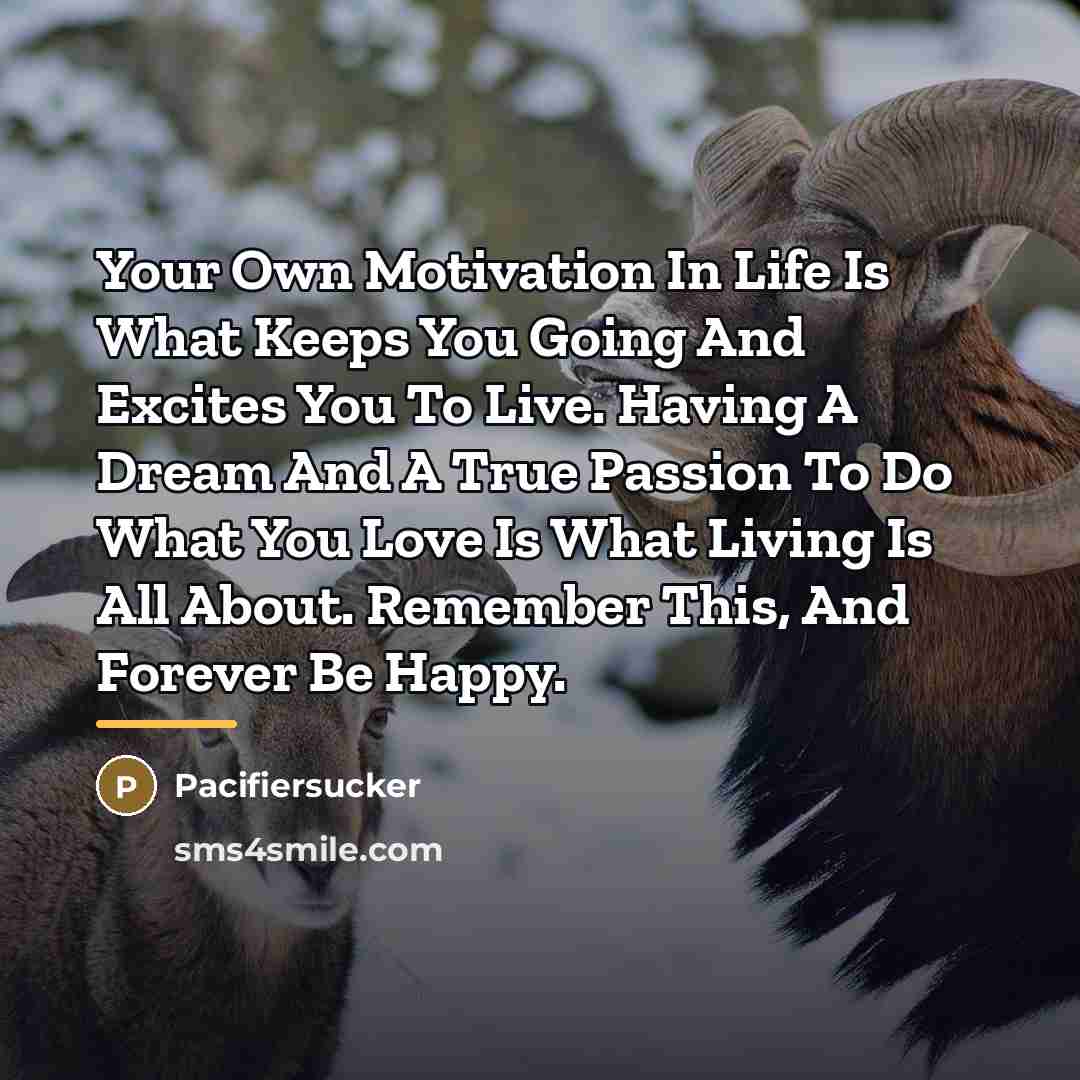 “Your Own Motivation In Life Is What Keeps You Going…” quote by Pacifiersucker