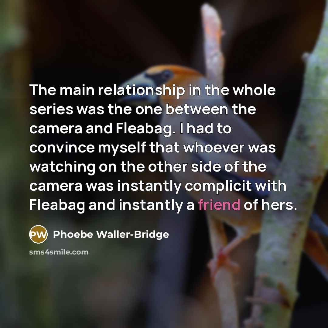 “The main relationship in the whole series was the one…” quote by Phoebe Waller-Bridge