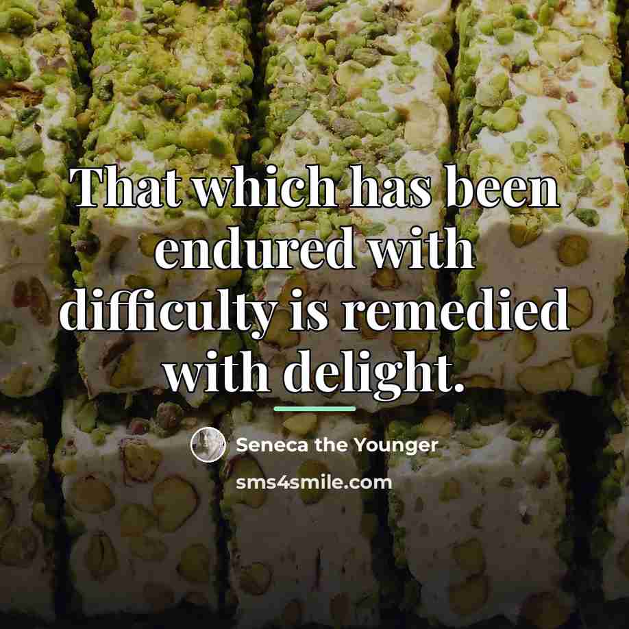 “That which has been endured with difficulty is remedied with…” quote by Seneca the Younger