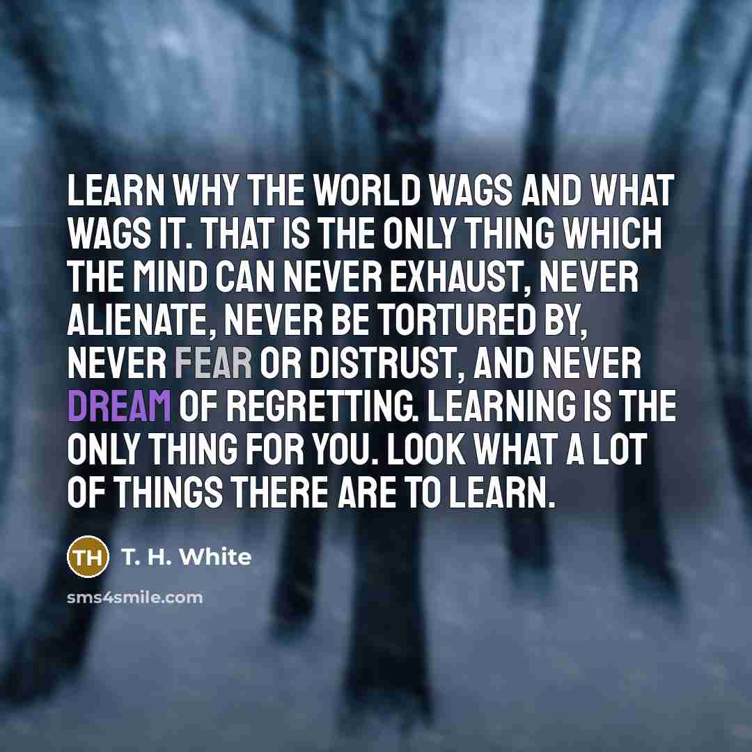 “Learn why the world wags and what wags it. That…” quote by T. H. White