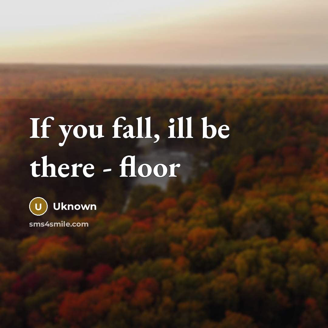 “If you fall, ill be there - floor…” quote by Uknown