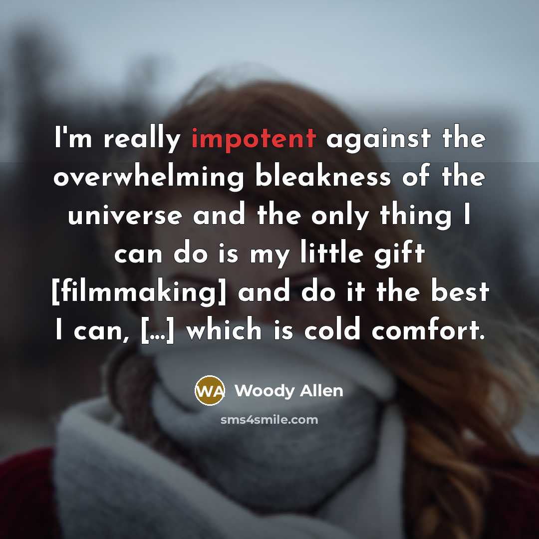 “I'm really impotent against the overwhelming bleakness of the universe…” quote by Woody Allen