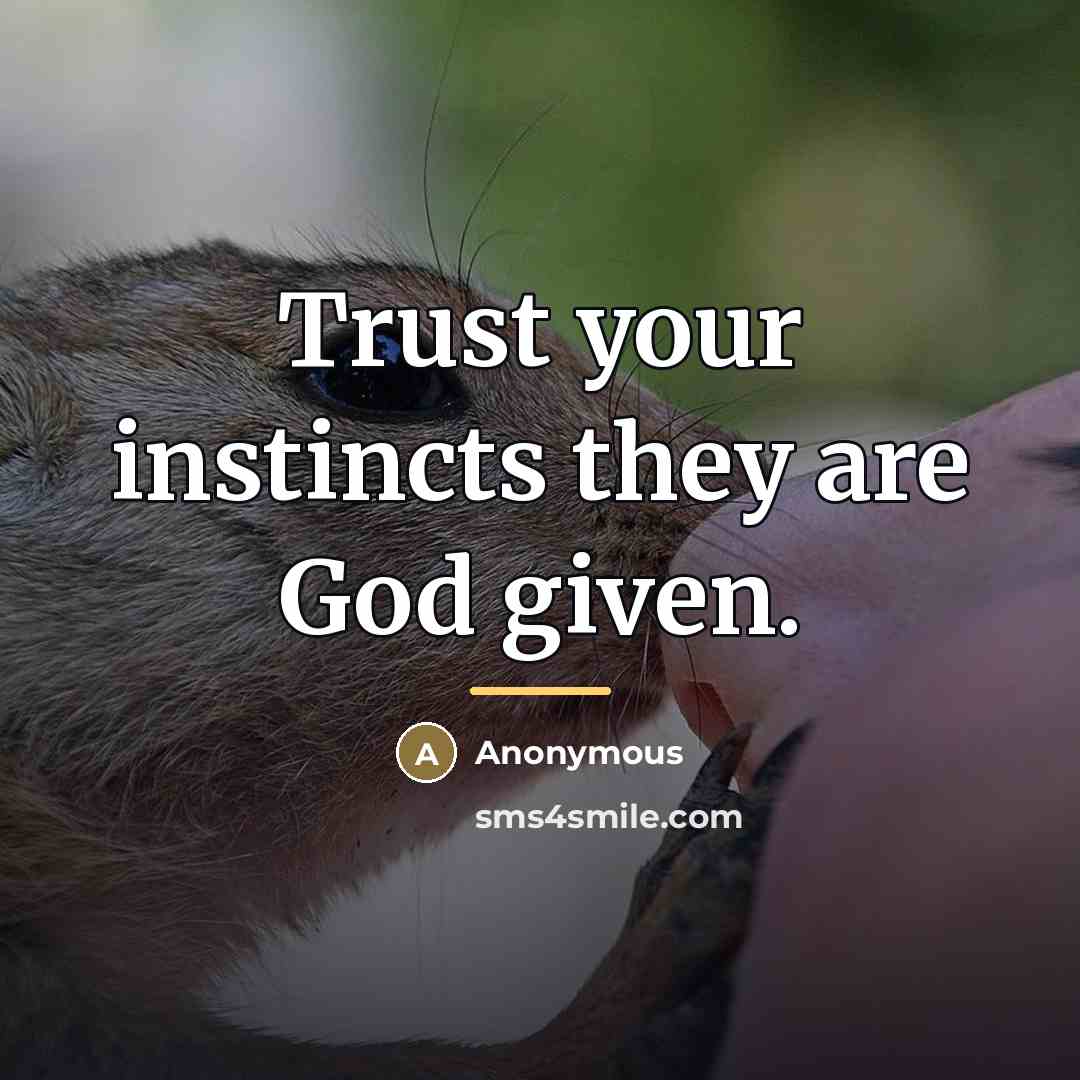 “Trust your instincts they are God given.…” quote by Anonymous
