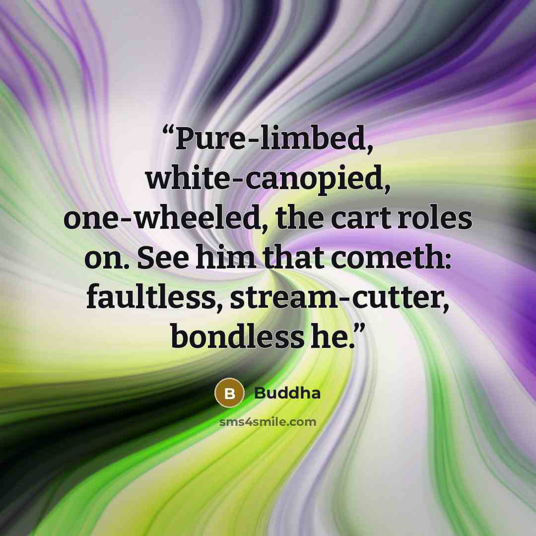 “Pure-limbed, white-canopied, one-wheeled, the cart roles on. See him that cometh: faultless, stream-cutter, bondless he.” quote by Buddha