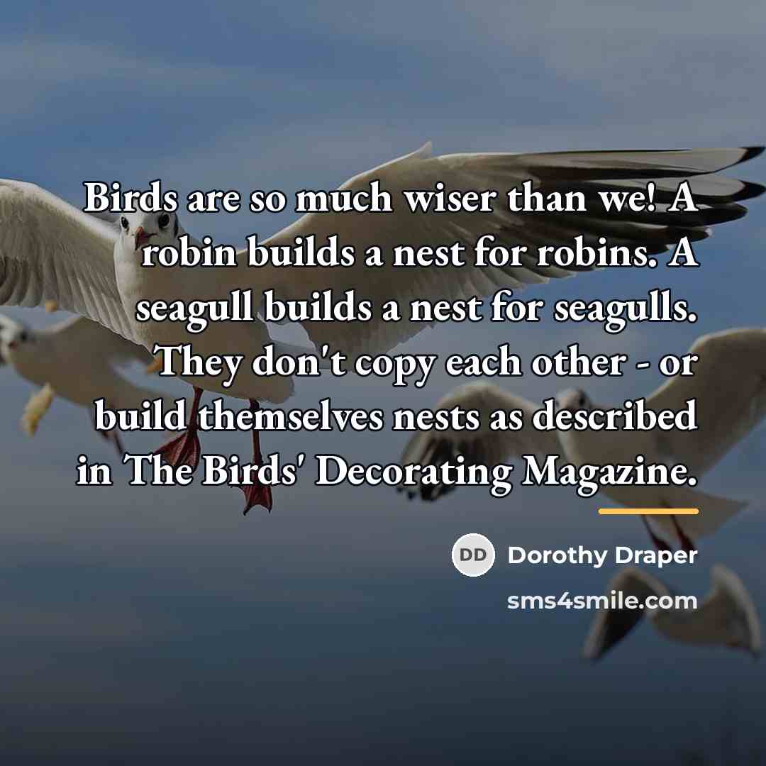 “Birds are so much wiser than we! A robin builds…” quote by Dorothy Draper