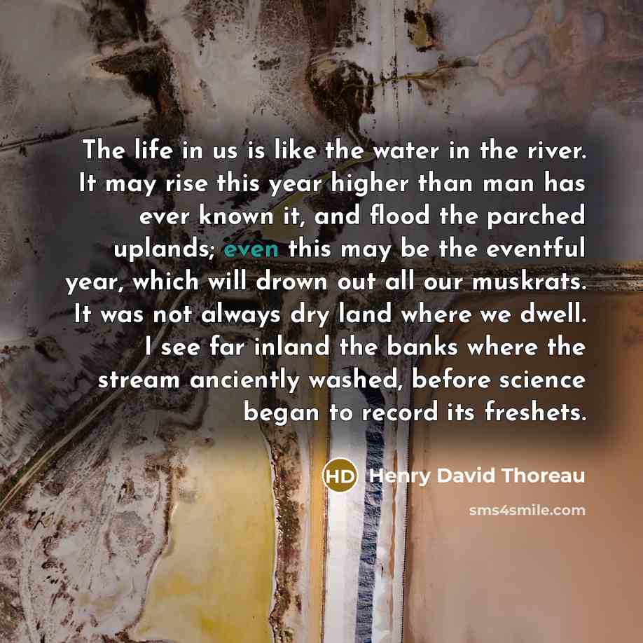 “The life in us is like the water in the…” quote by Henry David Thoreau