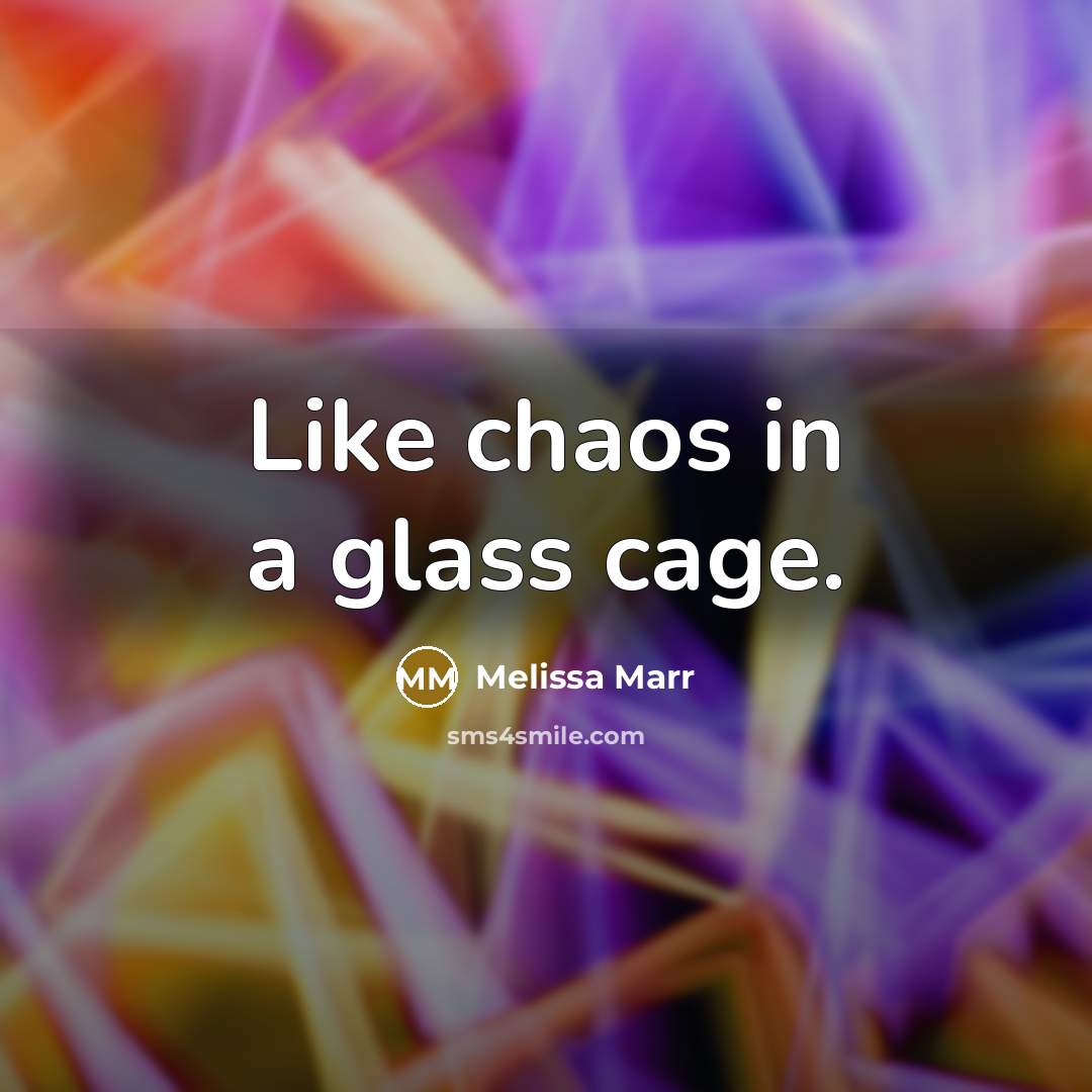 “Like chaos in a glass cage.…” quote by Melissa Marr