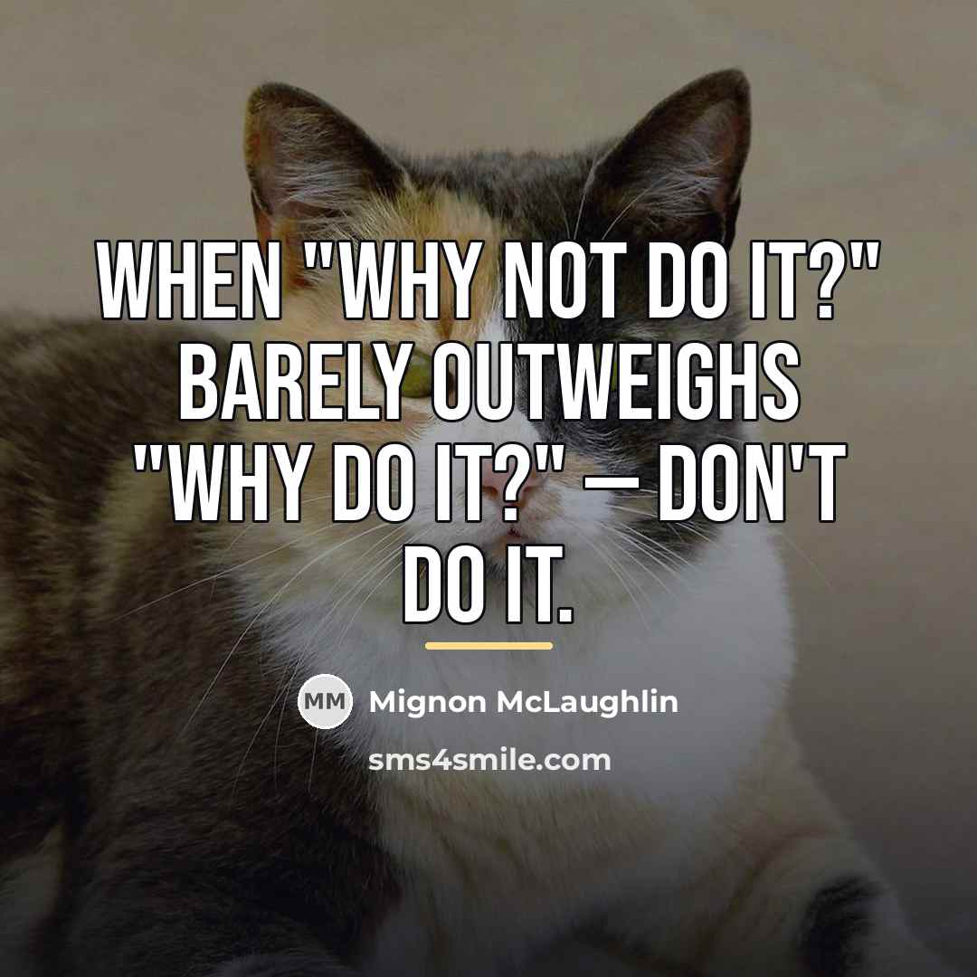 “When "Why not do it?" barely outweighs "Why do it?"…” quote by Mignon McLaughlin