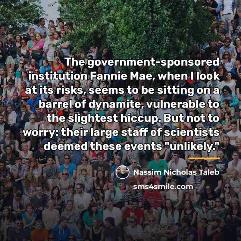 “The government-sponsored institution Fannie Mae, when I look at its…” quote by Nassim Nicholas Taleb
