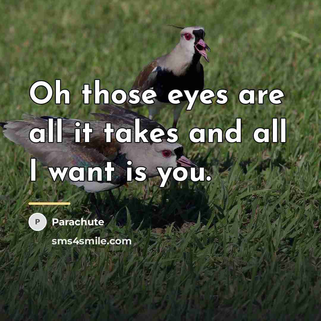 “Oh those eyes are all it takes and all I…” quote by Parachute
